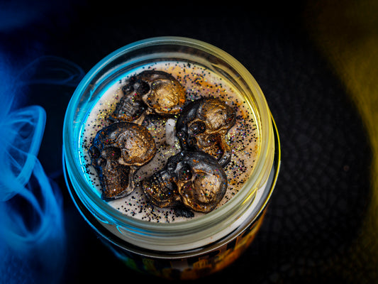 Vela "Elantris" Brandon Sanderson | Monsters Candles ®