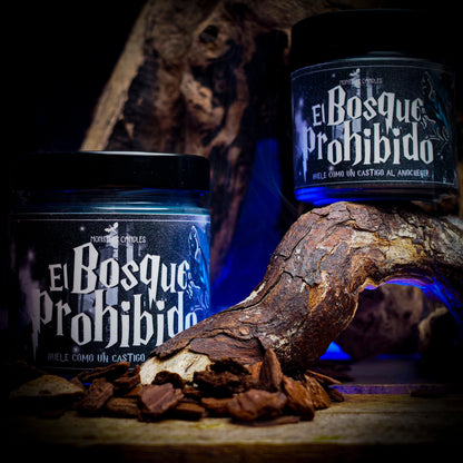 Vela “El Bosque Prohibido” Harry Potter | Monsters Candles ®