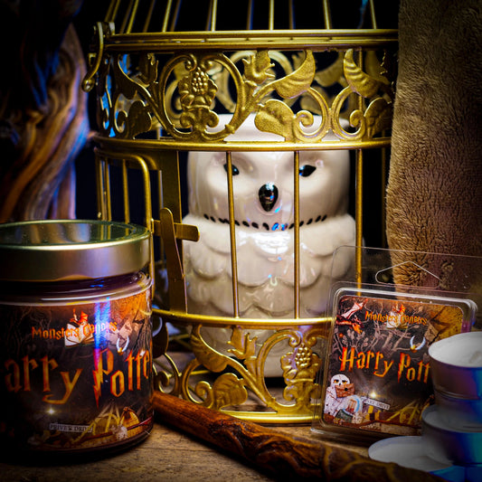 Pack Literario "La Magia de Hogwarts" | Monsters Candles ®