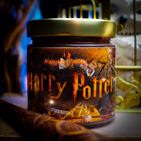 Pack Literario "La Magia de Hogwarts" | Monsters Candles ®