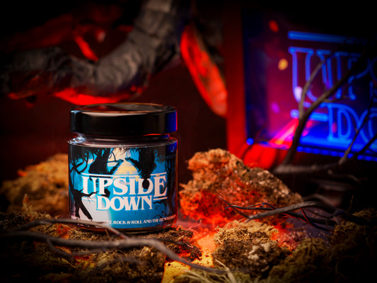 Vela “Upside Down" | Monsters Candles® - Velas Literarias